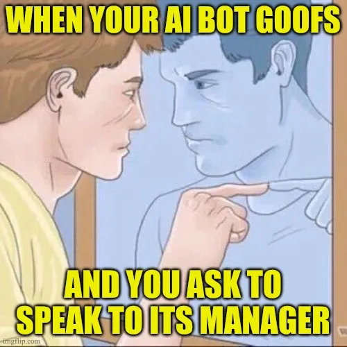 The 'man pointing to self in mirror' meme.  The text reads:  'When your AI bot goofs, and you ask to speak to its manager'.